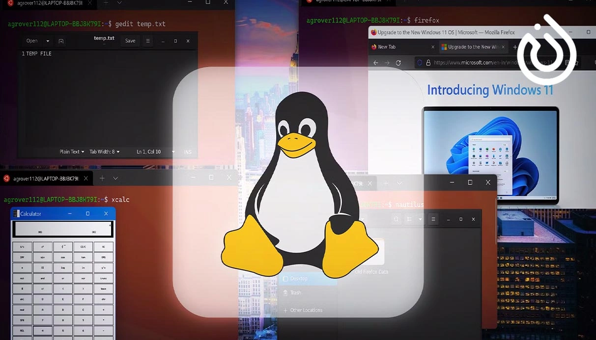 Linux Desktop Market Share Hits 5% in 2025
