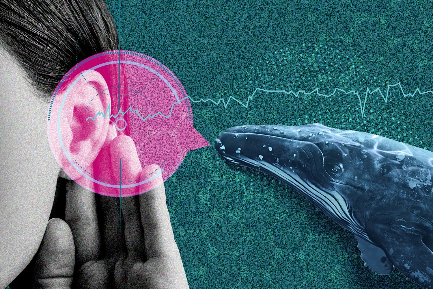 AI Revolutionizes Human Animal Conversations